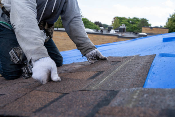 Best Best Roofing Contractors  in Hampton, AR