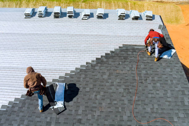 Best Storm Damage Roof Repair  in Hampton, AR