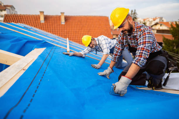 Best Emergency Roof Repair  in Hampton, AR