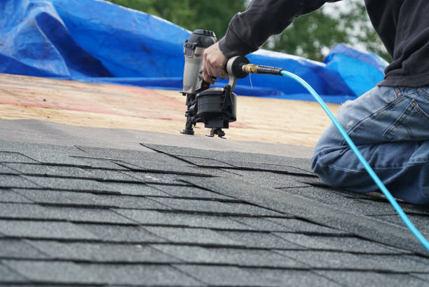 Best Flat Roof Repair Services  in Hampton, AR