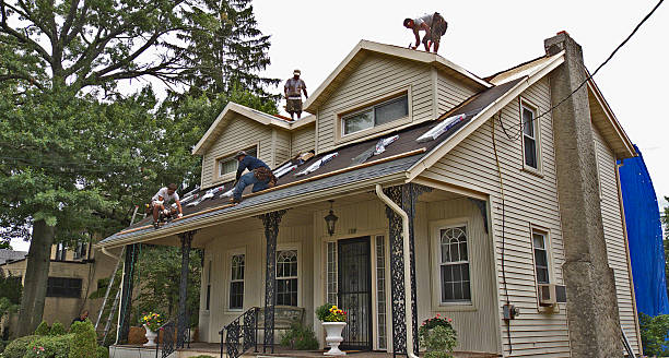 Best Local Roofing Companies  in Hampton, AR