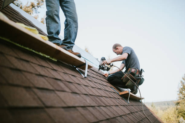 Best Gutter Installation and Roofing  in Hampton, AR